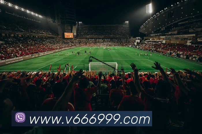 v66品牌故事